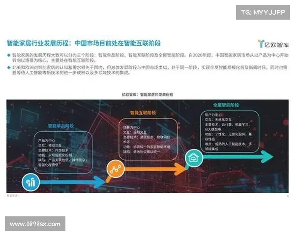 力达士在全球市场布局与创新战略的深度分析与未来发展展望 力达士在全球市场布局与创新战略的深度分析与未来发展展望